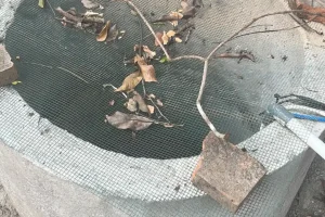 jasa kuras air sumur jogja