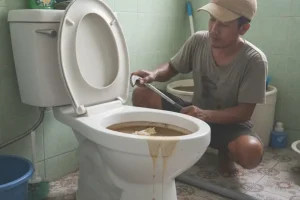 Tukang wc mampet bambanglipuro bantul