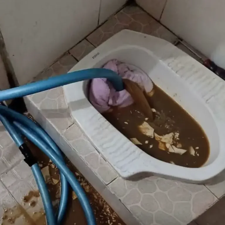 tukang wc mampet paliyan wonosari